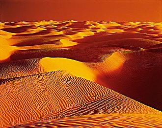 加拿大麦当劳人力严重短缺 用网络游戏招聘员工